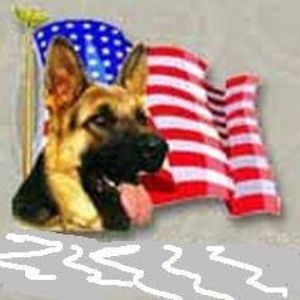 Meet your Posher, Morky